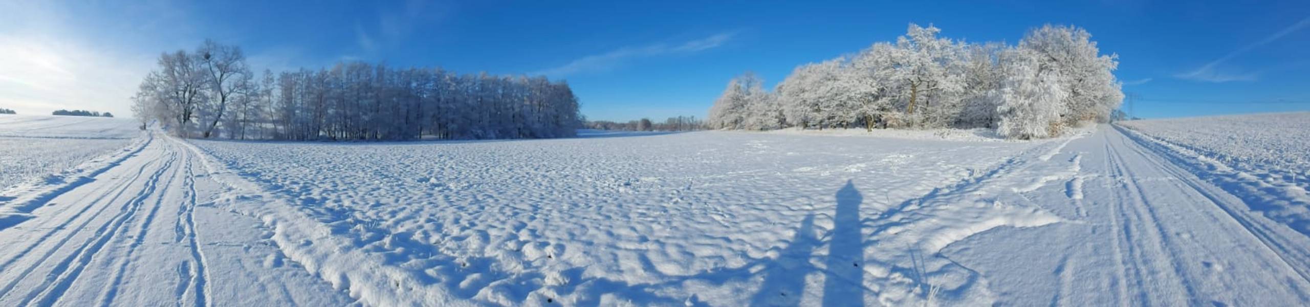 img 20230119 wa0010